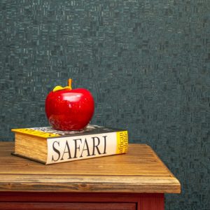 Decowall Vinil Duvar Kağıdı Maki 407-08 Silinebilir Duvar Kağıdı 16,5 m2