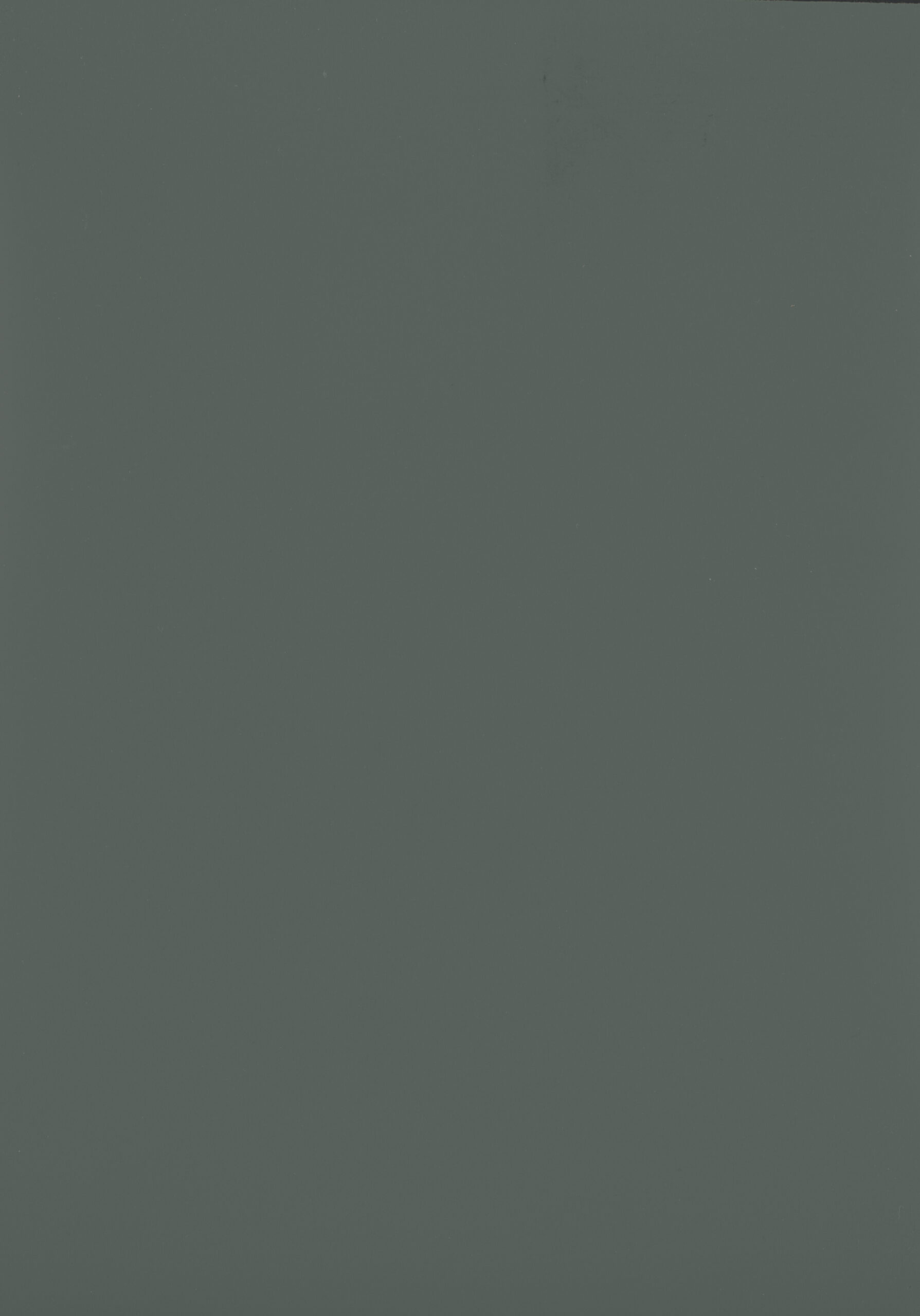 WPD005 Fırtına Yeşil